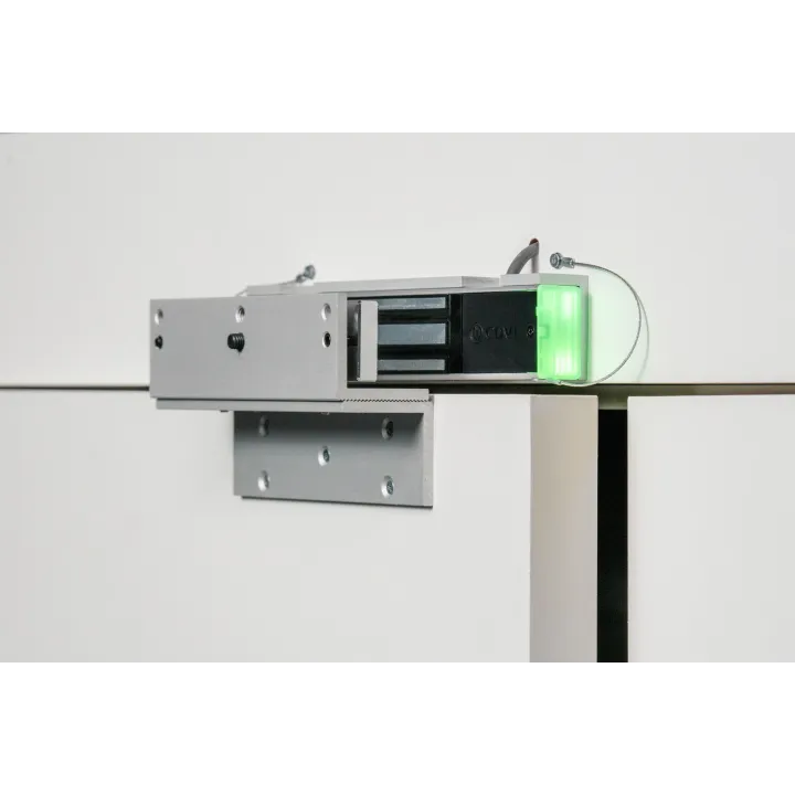 Ventouse 300Kg Applique - Signal Nonf - Led Et Relais - 12/24V Dc - Nfs 61-937