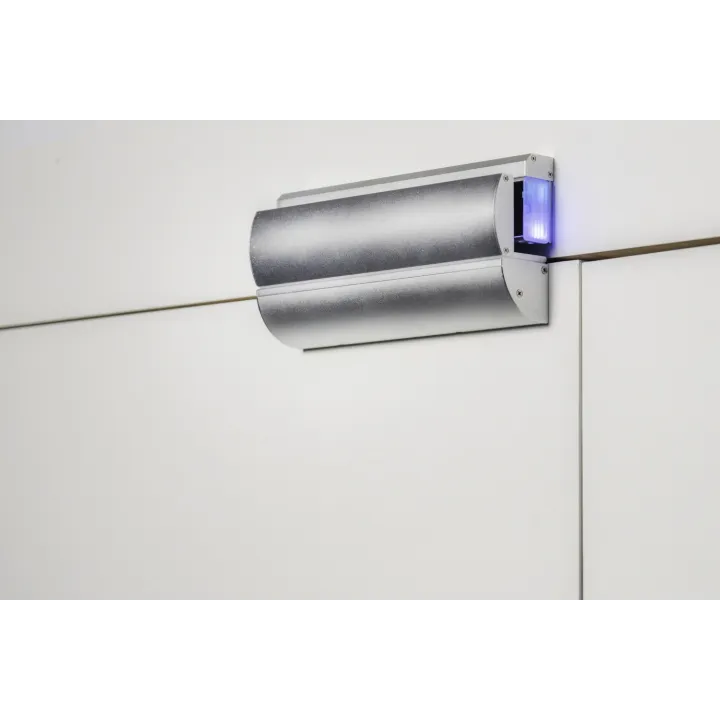 Ventouse 300Kg Applique - Signal Nonf - Led Et Relais - 12/24V Dc - Nfs 61-937