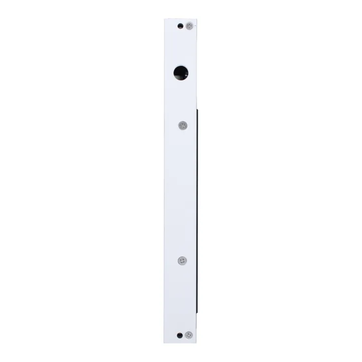 Ventouse 300Kg Applique - Signal Nonf - Led Et Relais - 12/24V Dc - Nfs 61-937