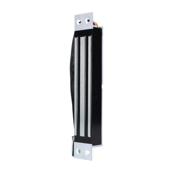Ventouse 300Kg Encastrée - Signal Nonf - 12/24V Dc - Nfs 61-937