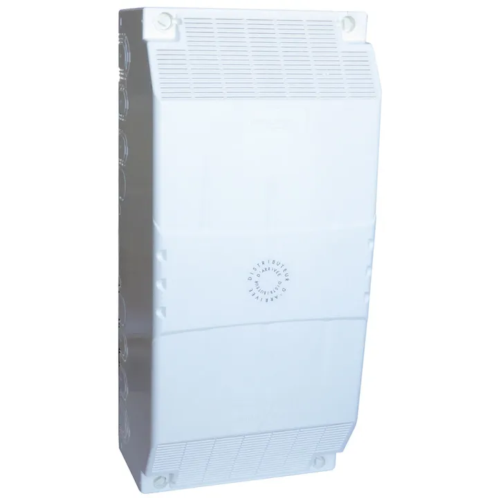 Coffret De Branchement Provisoire Monophasé 60A