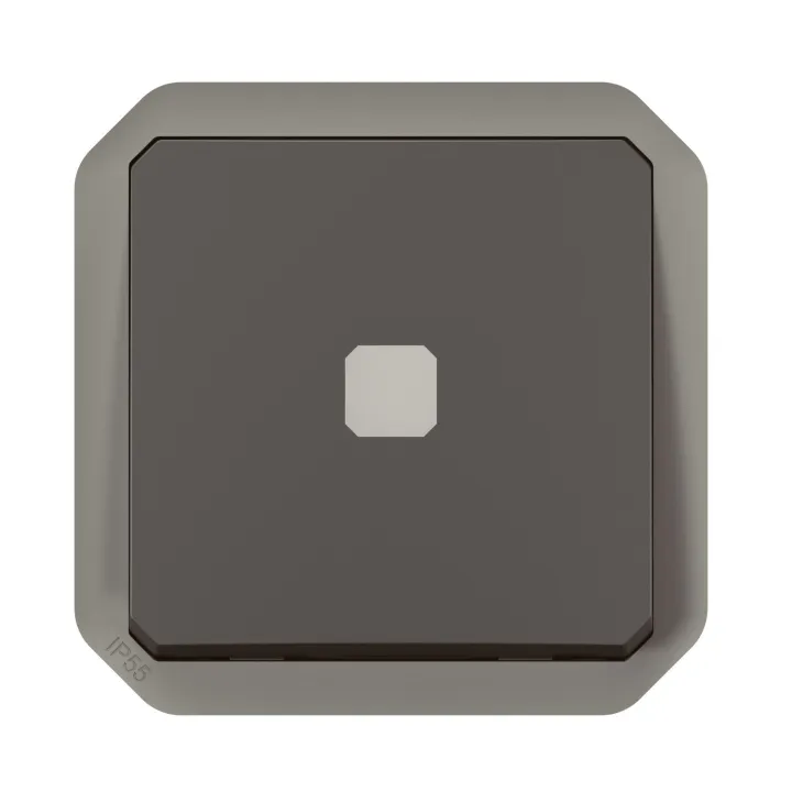 Interrupteur temporisé lumineux Plexo composable anthracite