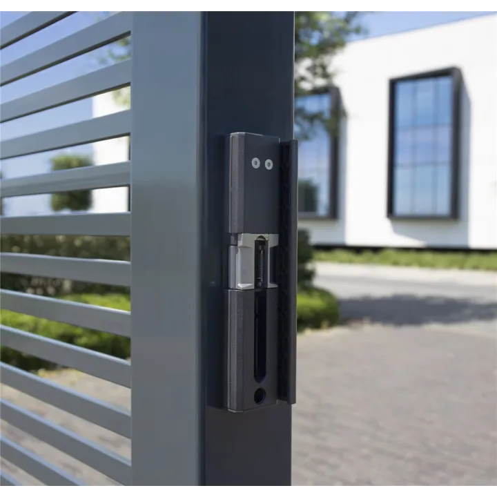 Gâche Électr En Appli- -San La
