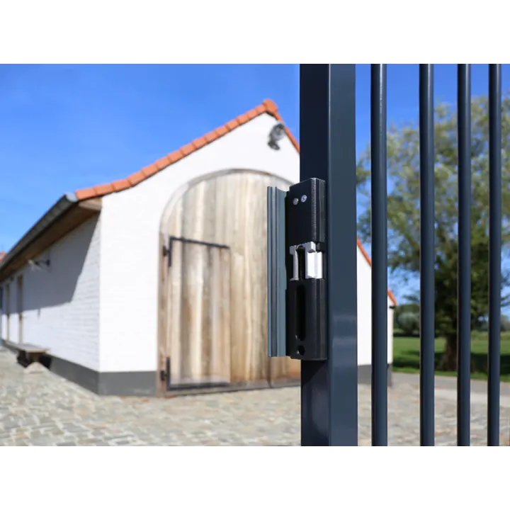 Gâche Électr En Appli- -San La