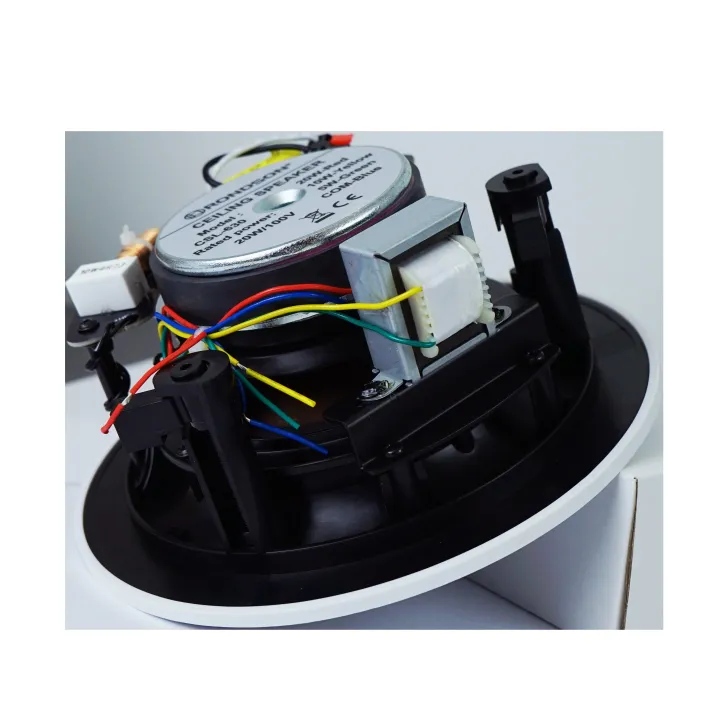 Haut-Parleurs Plafond 2 Voie À Encastrer 5/10/20W/100V