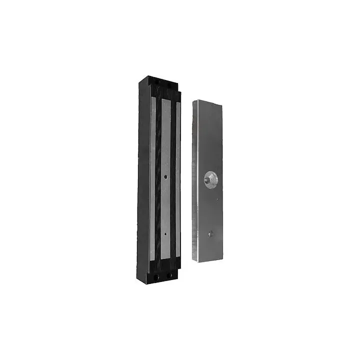 Ventouse 300 kg 12/24V encastrée GRS200*