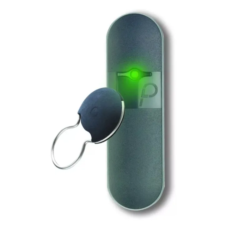 Tag De Proximité Mifare® 13.56 Mhz Format Porte-Clés