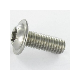 Sachet De 10 Vi Antivandale Torx Pmy Platine À Défilement, T