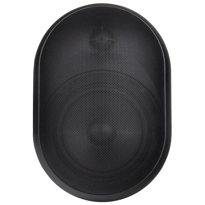 Enceinte Murale Ovoide Noire Ip55 30/15/75/375 W 100V, 4Ohm