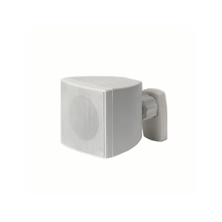 Enceinte Compacte 2 Voie Blanche, 20/10 W/100V