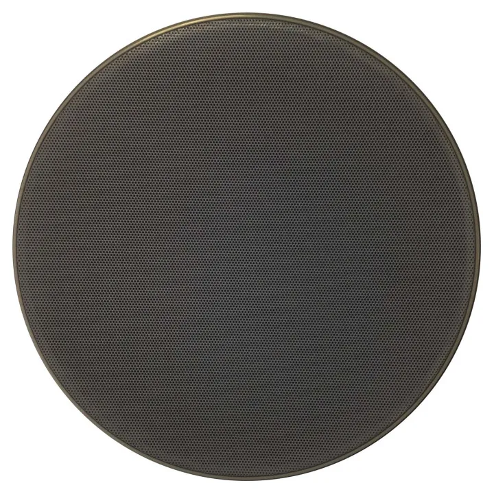 Haut-Parleurs Plafond 2 Voie À Encastrer Noir 5/10/20W/100V