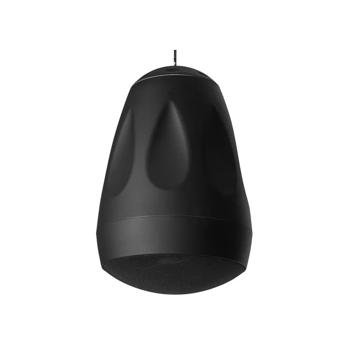 Enceinte Ovoïde Noire 50W/8Ohms, 50/25/12,5/6,25W/100 V, Câble+F