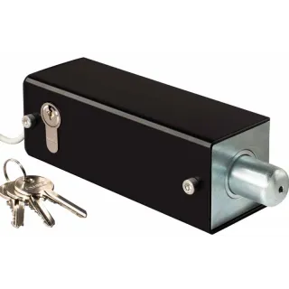 VSC 50-150 - Verrou de sécurité - Verrouillage hors tension - pêne biseauté - 24VCC - 1000daN - Horizontal