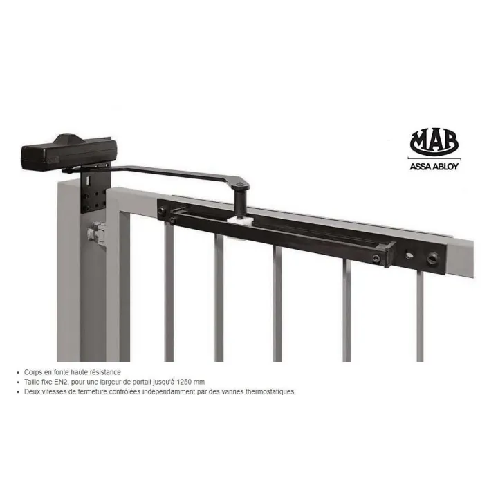 Art 650C Chiudicancello Nero Ferme-Portail Complet Pour Portillon