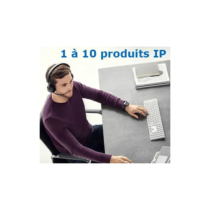 Forfait de mise en service par téléphone 2 h maximum pour 10 produits IP maximum