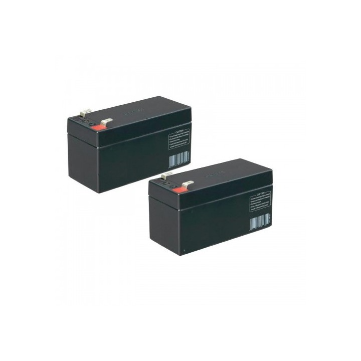 Batterie 12V-1,2Ah