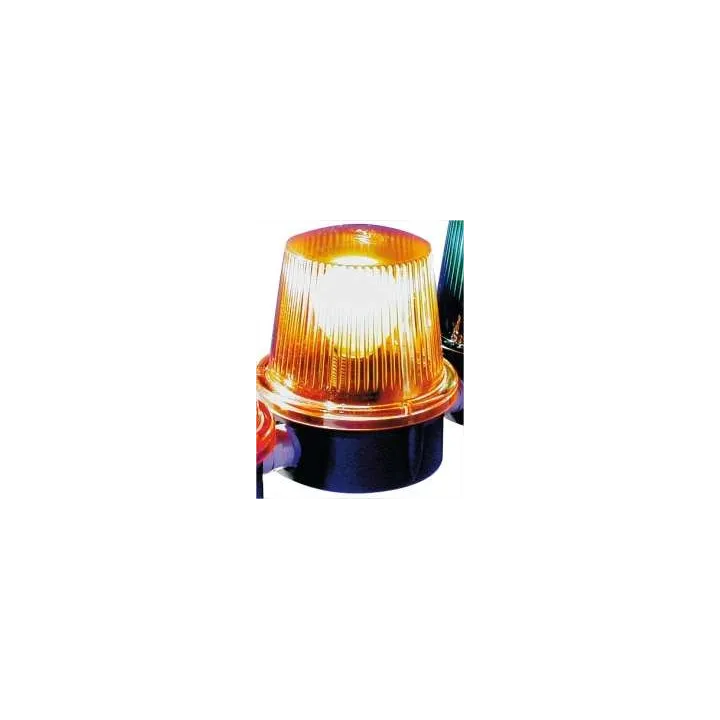 Luna Orange - San Ampoule