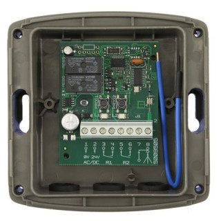 Recepteur Standard Rts Pro