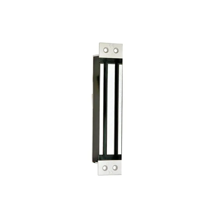 Ventouse 300Kg Encastrée - Signal Nonf - 12/24V Dc - Nfs 61-937