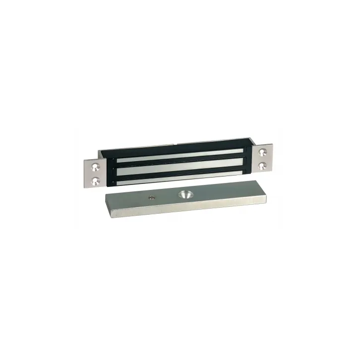 Ventouse Électromagnétique À Encastrer 300 Dan 12-24V Dc