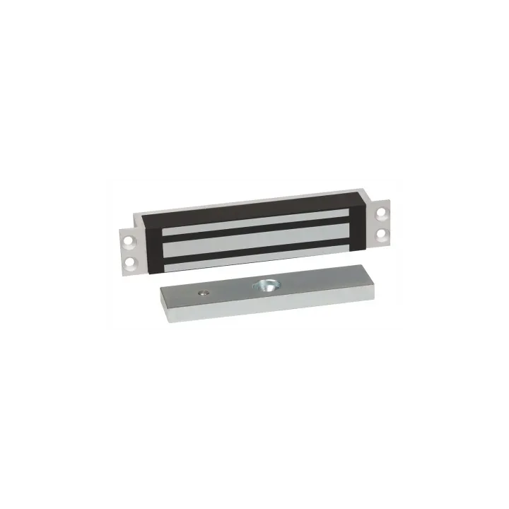 Ventouse Électromagnétique À Encaster 150 Dan 12-24V Dc + Ctc