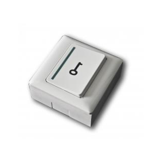 Bouton poussoir sailli NO, boitier ABS avec symbole clé