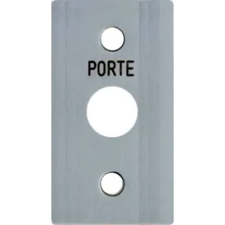Face Inox T25 60X100 pour systèmes URMET