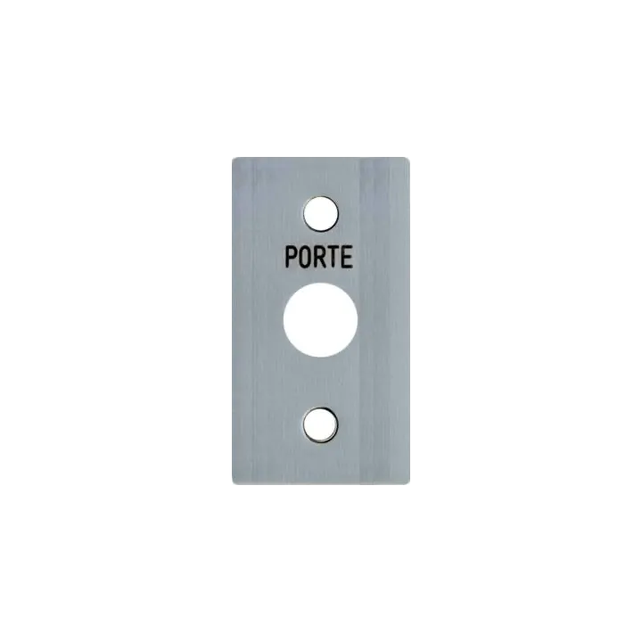 Face Inox T25 60X100 pour systèmes URMET