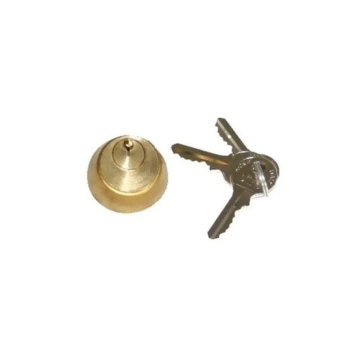 Cylindre Serrure Interieur N°1 Pour Electro-Serrure