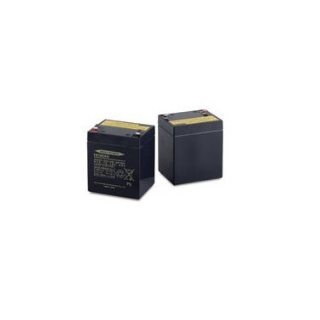 Kit Batterie Pour 1924/1524