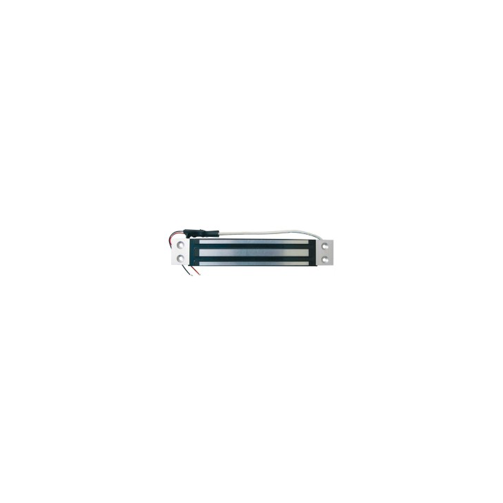 Ventouse Electroma 300Kg