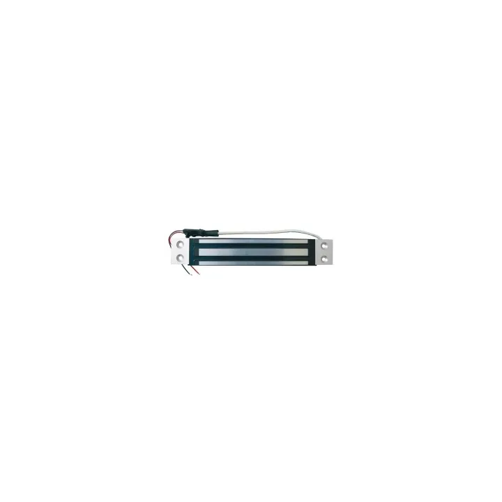 Ventouse Electroma 300Kg