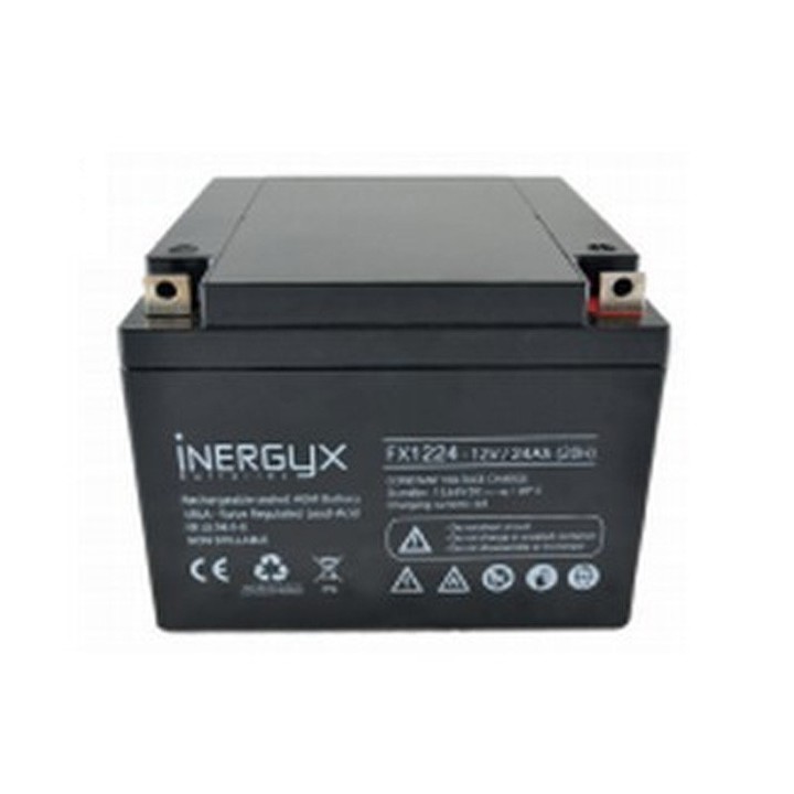 Batterie Rechargeable Vrla 12V / 24 Ah - Bac Fr Ul94 V-0 - 165 X 177 X 126 Mm