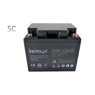 Batterie Rechargeable Vrla 12V / 38 Ah - Bac Fr Ul94 V-0 - 197 X 166 X 174 Mm