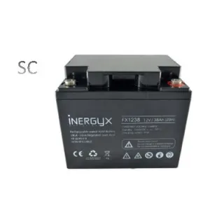 Batterie Rechargeable Vrla 12V / 38 Ah - Bac Fr Ul94 V-0 - 197 X 166 X 174 Mm