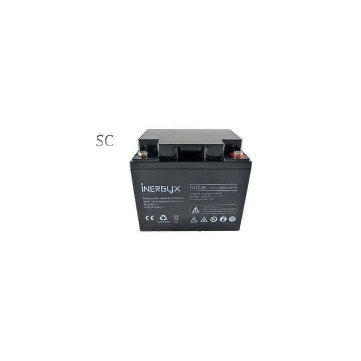 Batterie Rechargeable Vrla 12V / 38 Ah - Bac Fr Ul94 V-0 - 197 X 166 X 174 Mm