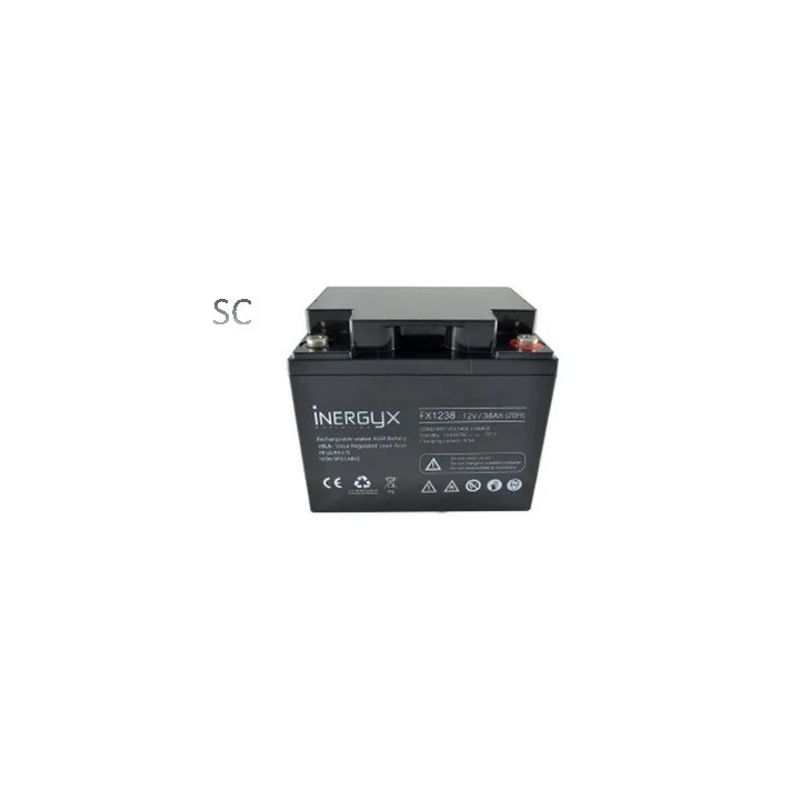 Batterie Rechargeable Vrla 12V / 38 Ah - Bac Fr Ul94 V-0 - 197 X 166 X 174 Mm