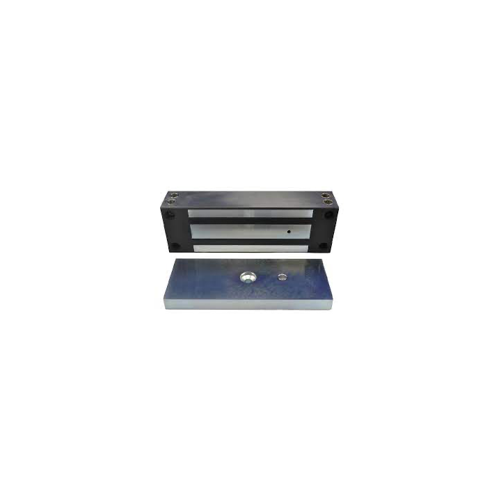Vento Em Ip 65 Acier Inox Applique 1200 Lbs 12/24V Dc Ctc Reed