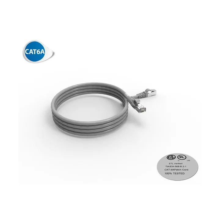 Cordon Rj45 Cat6A Sftp 100 Ohms Lsoh Surmoule Gris Lg 2M