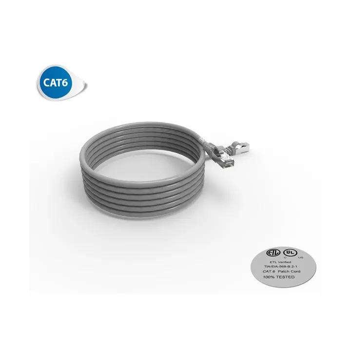 Cordon Rj45 Cat6 Futp 100Ohms Lsoh Surmoule Gris Lg 3M