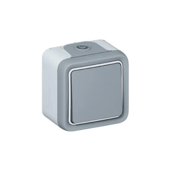 Poussoir Étanche No 10A Plexo Complet Ip55 Saillie - Gris