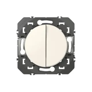 Double Interrupteur Ou Va-Et-Vient Dooxie 10Ax 250V~ Finition Blanc