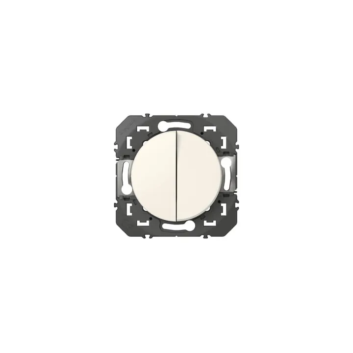Double Interrupteur Ou Va-Et-Vient Dooxie 10Ax 250V~ Finition Blanc