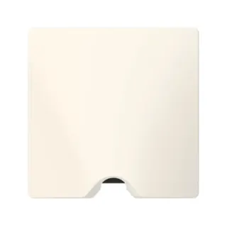 Sortie De Câble Ip21 Dooxie Livrée Complète Avec Plaque Finition Blanc