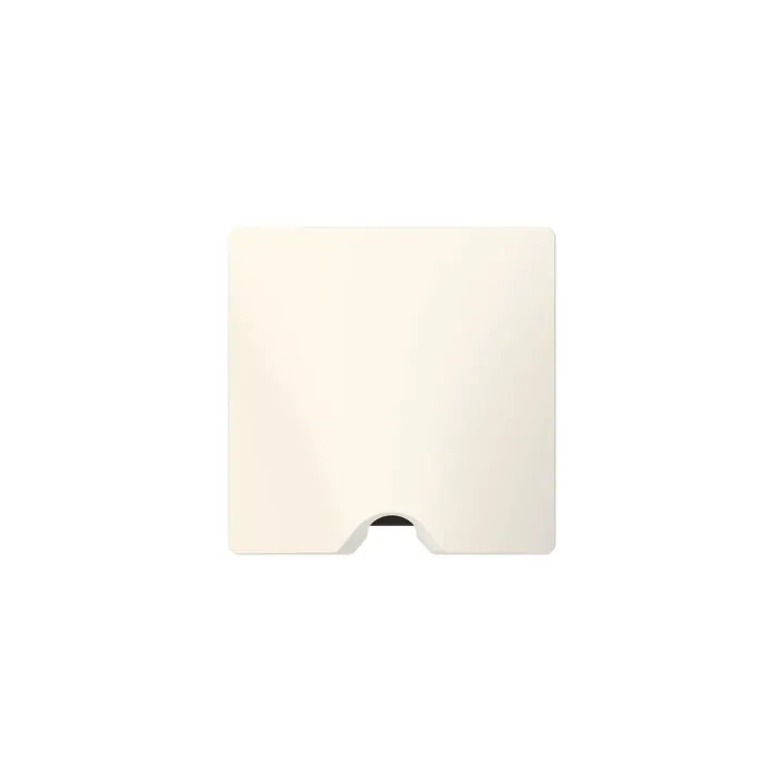 Sortie De Câble Ip21 Dooxie Livrée Complète Avec Plaque Finition Blanc
