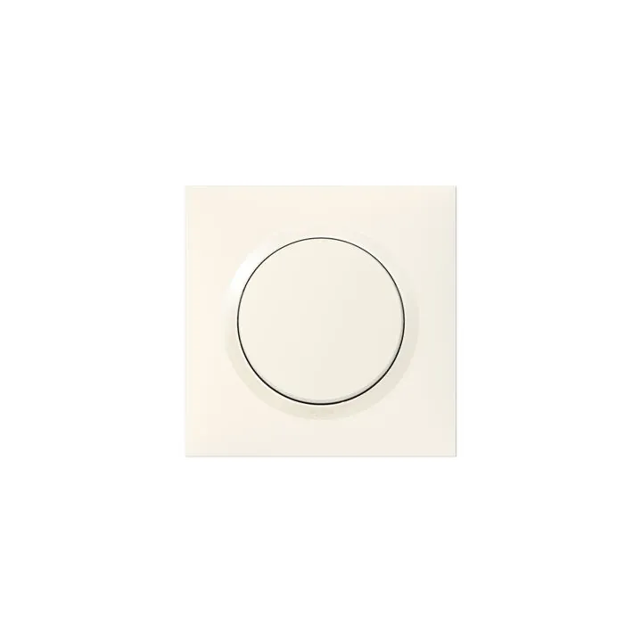 Interrupteur Ou Va-Et-Vient Dooxie One 10Ax 250V~ Complet Avec Griffes