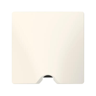 SORTIE DE CABLE IP21