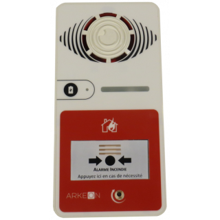 ALARME TYPE 4 A PILE AVEC FLASH BLANCHE
