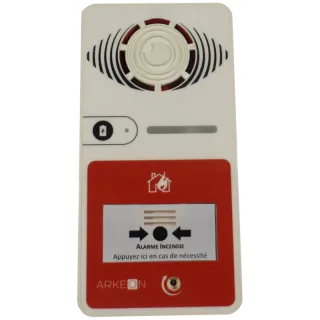 ALARME TYPE 4 A PILE AVEC FLASH BLANCHE