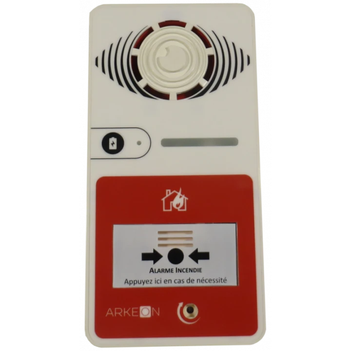 ALARME TYPE 4 A PILE AVEC FLASH BLANCHE